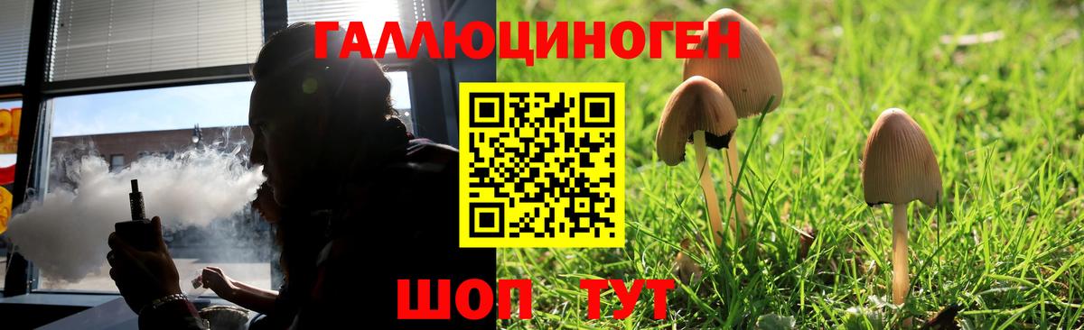 Псилоцибиновые грибы Magic Shrooms  Вход с VPN  магазин    Гагарин 